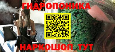 шишки Бузулук