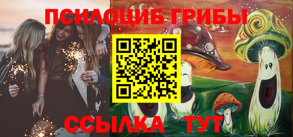 Тихвин  Галлюциногенные грибы Cubensis  Вход с VPN 
